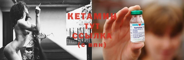 трава Гусь-Хрустальный
