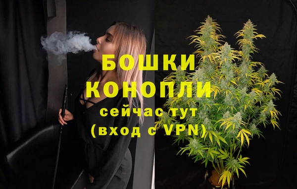 трава Гусь-Хрустальный