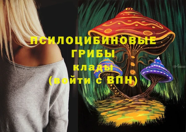 стаф Горнозаводск