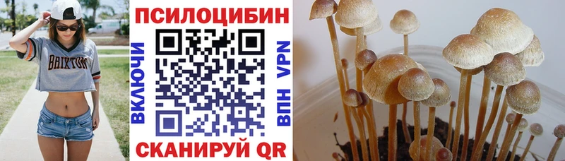 Псилоцибиновые грибы мухоморы  даркнет сайт  Юхнов 